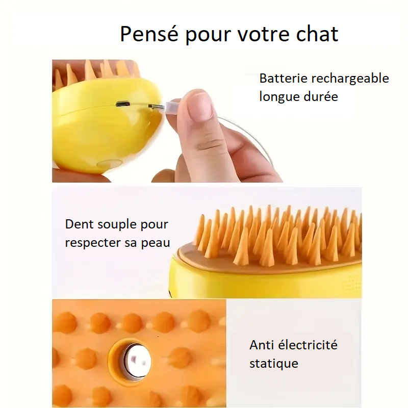 Brosse à vapeur