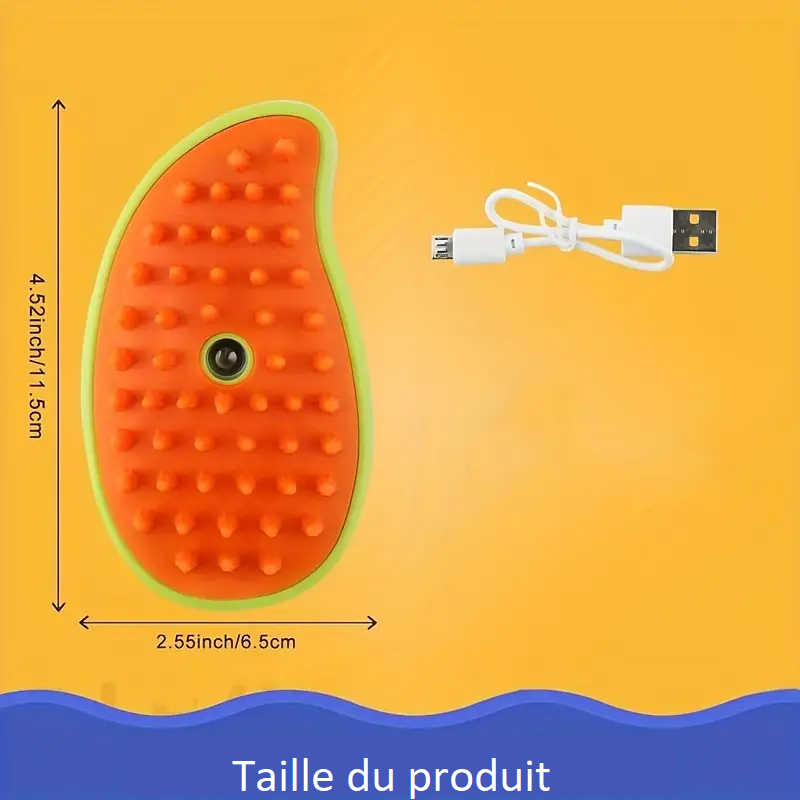 Brosse à vapeur